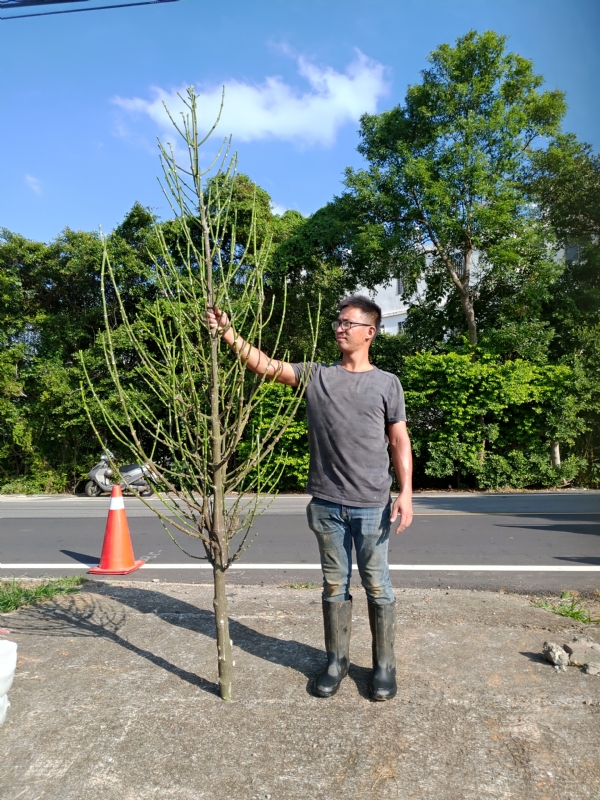 jeff的第二张照片--福建相亲网